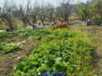 목포 임성지구 땅 이정도면 투자할만 하죠? - 목포 - 부동산 백화점 목포 임성지구 땅 이정도면 투자할만 하죠?