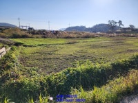 목포 고하도땅매매 대로변에 있답니다~(매물번호 2255) - 목포 - 부동산 백화점 목포 고하도땅매매 대로변에 있답니다~(매물번호 2255)