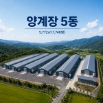 산란계 양계장매매 전남에 있답니다~(매물번호 2995) - 기타부동산 - 부동산 백화점 산란계 양계장매매 전남에 있답니다~(매물번호 2995)