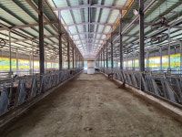 무안 축사매매 110두 규모 준공한지 5년 됐답니다~(매물번호 2797)... 백화점 무안 축사매매 110두 규모 준공한지 5년 됐답니다~(매물번호 2797)