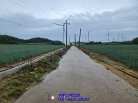 자은도 밭 이렇게 넓은 토지가? - 신안 - 부동산 백화점 자은도 밭 이렇게 넓은 토지가?