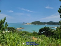 완도군 임야 매매 - 기타지역 - 부동산 백화점 완도군 임야 매매