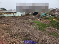 영암군 삼호읍 토지매매 원룸이나 상가부지로 최고네요~(매물번호 2335) - 영암 - 부동산 백화점 영암군 삼호읍 토지매매 원룸이나 상가부지로... 