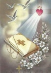 은총을 받는 방법 - 신앙 영성방 - 천주교 청주봉명동성당 은총을 받는 방법
