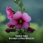 여유로운 마음은 - 감동적인 글 - 빠다킹신부와 새벽을 열며 여유로운 마음은