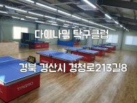 다이나믹탁구클럽 오픈 - 경산탁구장 - 홍성혁의 탁구앨범 - 대구핑퐁 다이나믹탁구클럽 오픈 - 경산탁구장