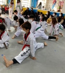 2022년도 결산심사 - 학부모님초청 공개심사 - 정기결산심사 - 봉황태권도카페 2022년도 결산심사 - 학부모님초청 공개심사