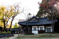 울뜨레야 성지순례(24.11.9.토) - 연수동 성당 앨범 - 연수동 성당 울뜨레야 성지순례(24.11.9.토)