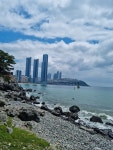 해운대 - 일반 사진 - 모라동원산악회 해운대
