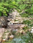 제190차 경남 산청 지리산 대원사계곡 트레킹 산행신청 - 산행신청과 공지 - 충북불교를 사랑하는 모임 제190차 경남 산청 지리산 대원사계곡... 