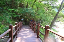 제190차 경남 산청 지리산 대원사계곡 트레킹 산행신청 - 산행신청과 공지 - 충북불교를 사랑하는 모임 제190차 경남 산청 지리산 대원사계곡... 