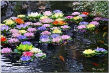 2024 봉산이씨 좌랑공파 정읍종중 신년교례회 - ^!^포토게시판^!^ - 봉산이씨 정읍 종중 2024 봉산이씨 좌랑공파 정읍종중 신년교례회