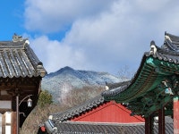 [임시보관]20231216~17 거제-＞지리산 - 써너비랑 둘리랑 팔도유랑 - 영약81(영남대약대 81학번) [임시보관]20231216~17 거제-＞지리산