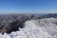 [울산안내산악회] 1월10일(토) 상고대 천국 민주지산 눈꽃산행 블랙야크100대명산 - 토요산행 예약 - 푸른산악회-울산 [울산안내산악회]... 