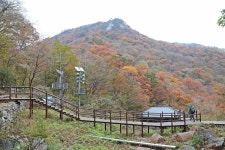 지리산 피아골 반야봉 뱀사골 단풍산행 (25.11.8) - 1 - 토요산행 사진방 - 푸른산악회-울산 지리산 피아골 반야봉 뱀사골 단풍산행 (25.11.8) - 1