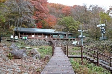 지리산 피아골 반야봉 뱀사골 단풍산행 (25.11.8) - 1 - 토요산행 사진방 - 푸른산악회-울산 지리산 피아골 반야봉 뱀사골 단풍산행 (25.11.8) - 1