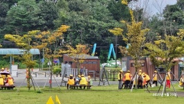 2025년도 안양제일 경로대학 가을소풍 - ■ 안양제일경로대학 ■ - 겨자씨 장학회 2025년도 안양제일 경로대학 가을소풍 