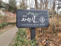 안산 자락길 (2021.12.11.토) - ■ 수리산악회■ - 겨자씨 장학회 안산 자락길 (2021.12.11.토)