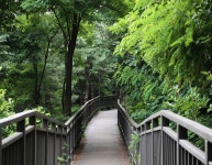 북한산 둘레길 4구간 솔샘길 2021.07.24.토 폭염경보 발령 - ■ 수리산악회■ - 겨자씨 장학회 북한산 둘레길 4구간... 