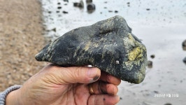 2025년도 안양제일 경로대학 가을소풍 - ■ 안양제일경로대학 ■ - 겨자씨 장학회 2025년도 안양제일 경로대학 가을소풍 