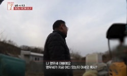 이번주 궁금한 이야기 와이에 나온 앵무새 실종 사건 - 악플달면 쩌리쩌려버려 - ＊여성시대＊ 차분한 20대들의 알흠다운 공간 이번주 궁금한... 