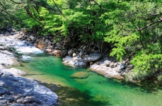제688차 정기산행 지리산 대원사계곡 - ♣ 산행 예약방 ♣ - 모아 산악회 모아 산악회