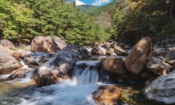 제688차 정기산행 지리산 대원사계곡 - ♣ 산행 예약방 ♣ - 모아 산악회 모아 산악회