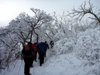 제 299차 평창 발왕산 신년맞이 눈꽃산행공지(26/01/18)... 평택능선산악동호회 제 299차 평창 발왕산 신년맞이 눈꽃산행공지(26/01/18)