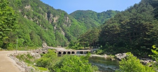 제 292차 봉화 낙동강 세평 하늘길 (25/06/15) - ▣ 정기산행공지/신청 - 평택능선산악동호회 제 292차 봉화 낙동강 세평 하늘길 (25/06/15)