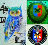 Re:2023시작 - 일반 게시판 - 특공태비태권도체육관 Re:2023시작