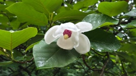 힐링여행캠프희성여행산악회 | 6월정기산행 #희양산(曦陽山) 산행사진및 간단후기 - # 정기산행사진 - 북한산 836 산악회 6월정기산행 #희양산(曦陽山) 산행사진및 간단후기