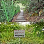 대전 도화산(271.7m), 정림동 오량산(130.0m)-복수동 오량산(124.0m) - 산행후기 - 신암산악회 대전 도화산(271.7m), 정림동 오량산(130.0m)... 
