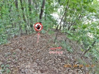 대전 도화산(271.7m), 정림동 오량산(130.0m)-복수동 오량산(124.0m) - 산행후기 - 신암산악회 대전 도화산(271.7m), 정림동 오량산(130.0m)... 