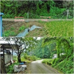 칠곡 관곡산(130.9m)-새도방산(83.6m)-달산(116.4m) - 산행후기 - 신암산악회 칠곡 관곡산(130.9m)-새도방산(83.6m)-달산(116.4m)