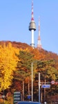 남산의 가을 ♡1♡ - 축제 탐방 정보 - 호모 데우스 남산의 가을 ♡1♡