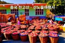 [중국 크루즈여행] 10월16-19일(3박4일) / 천고산ㆍ옌타이 관광ㆍ동저도 해초마을 / 화동훼리 - 🚢 중국_여객선 ≫특가≪ - 산노을여행사... 