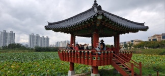 백삼산우회 2025년 9월 나불지 초례산 산행(2025.9.28). - 백삼산우회 행사 사진 - 경북중 고등 학교 제47회 동기회 카페 백삼산우회... 
