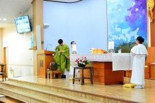 연중 제 14주일 - 2025년 본당 주요행사 - 용인삼가동성당 연중 제 14주일