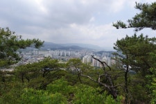 소금강산. 금학산(경주)20256.5.25. - 산행 앨범1 - 서울소나무산악회 소금강산. 금학산(경주)20256.5.25.