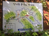 제394회 거북산우회 2025년 7월 정기 산행 충북 제천(십자봉,덕동계곡 985m ) - ☆ [정기산행신청] - 거북산우회 제394회 거북산우회 2025년... 