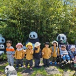 🦕봄소풍🦖＜공룡사파리＞ - 햇살반 - 제주신촌어린이집 🦕봄소풍🦖＜공룡사파리＞