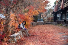 제146차 운악산-1 - 정기산행 사진, 동영상 - 서울 산우리산악회 제146차 운악산-1