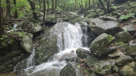 926차 정기산행 유명산(865m/가평) - 산행안내 및 예약신청 - 인천아름산악회 926차 정기산행 유명산(865m/가평)