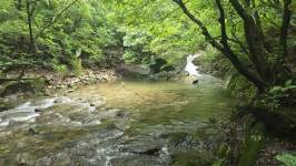 926차 정기산행 유명산(865m/가평) - 산행안내 및 예약신청 - 인천아름산악회 926차 정기산행 유명산(865m/가평)