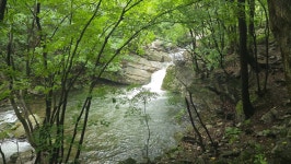 926차 정기산행 유명산(865m/가평) - 산행안내 및 예약신청 - 인천아름산악회 926차 정기산행 유명산(865m/가평)