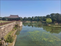 ▣ 웰빙백폐킹(제2차):-영천시장~출렁다리~보현산~천문대=경주여행... 웰빙백폐킹(제2차):-영천시장~출렁다리~보현산~천문대=경주여행