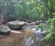 ▣ 무더운 찜통더위 피하여 용수골계곡~ 백운산:- 전망대바위... 메아리산악회(박) ▣ 무더운 찜통더위 피하여 용수골계곡~ 백운산:- 전망대바위