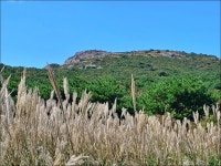 ▣영남알프스:-능동산~샘물식당~천황산~천황재(비박3)~재약산-3 - ♧베이스캠프/비박산행♧ - 해병대만남의광장 ▣영남알프스:-능동산~샘물식당... 