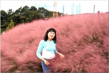 합천 신소양공원의 가을 - +여행,갤러리 - 꽃물의 사진여행 속으로~ 합천 신소양공원의 가을