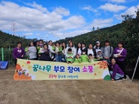 ＜꿈나무 단감체험. 소운동회＞ - 2024년 꿈나무 ♥ - 공공형꿈나무어린이집 ＜꿈나무 단감체험. 소운동회＞